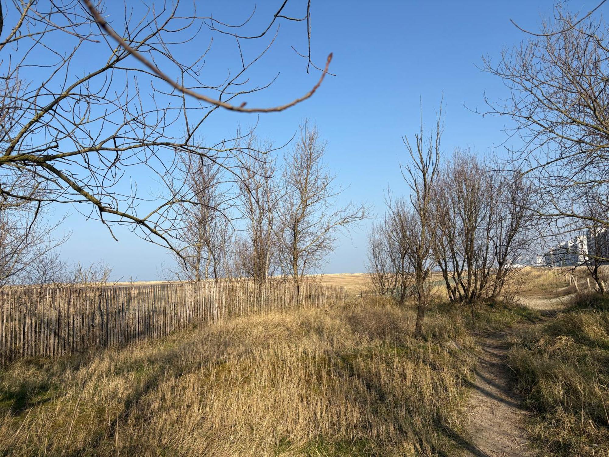 Sea View Juweeltje *